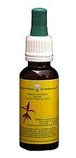 Esencias Florales Mediterraneo Cosmos 20ml Esencias Florales Mediterraneo Cosmos 20ml