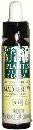 Plantis Honeysuckle 10ml Plantis Honeysuckle 10ml